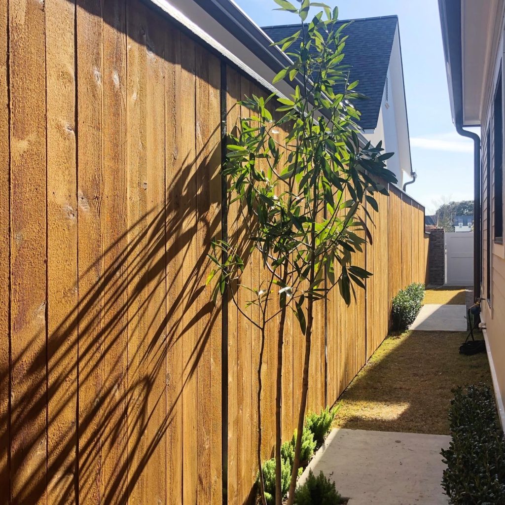 Wood Fence