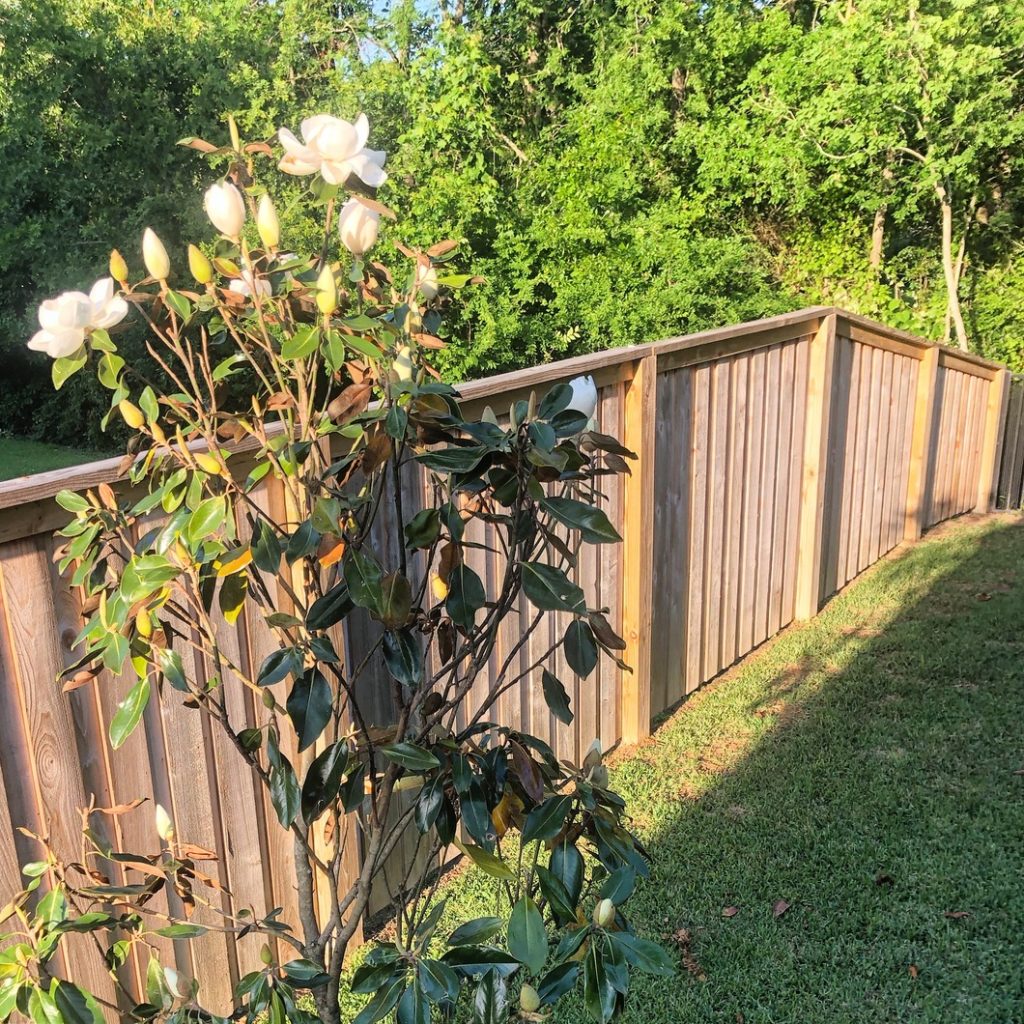 Wood Fence