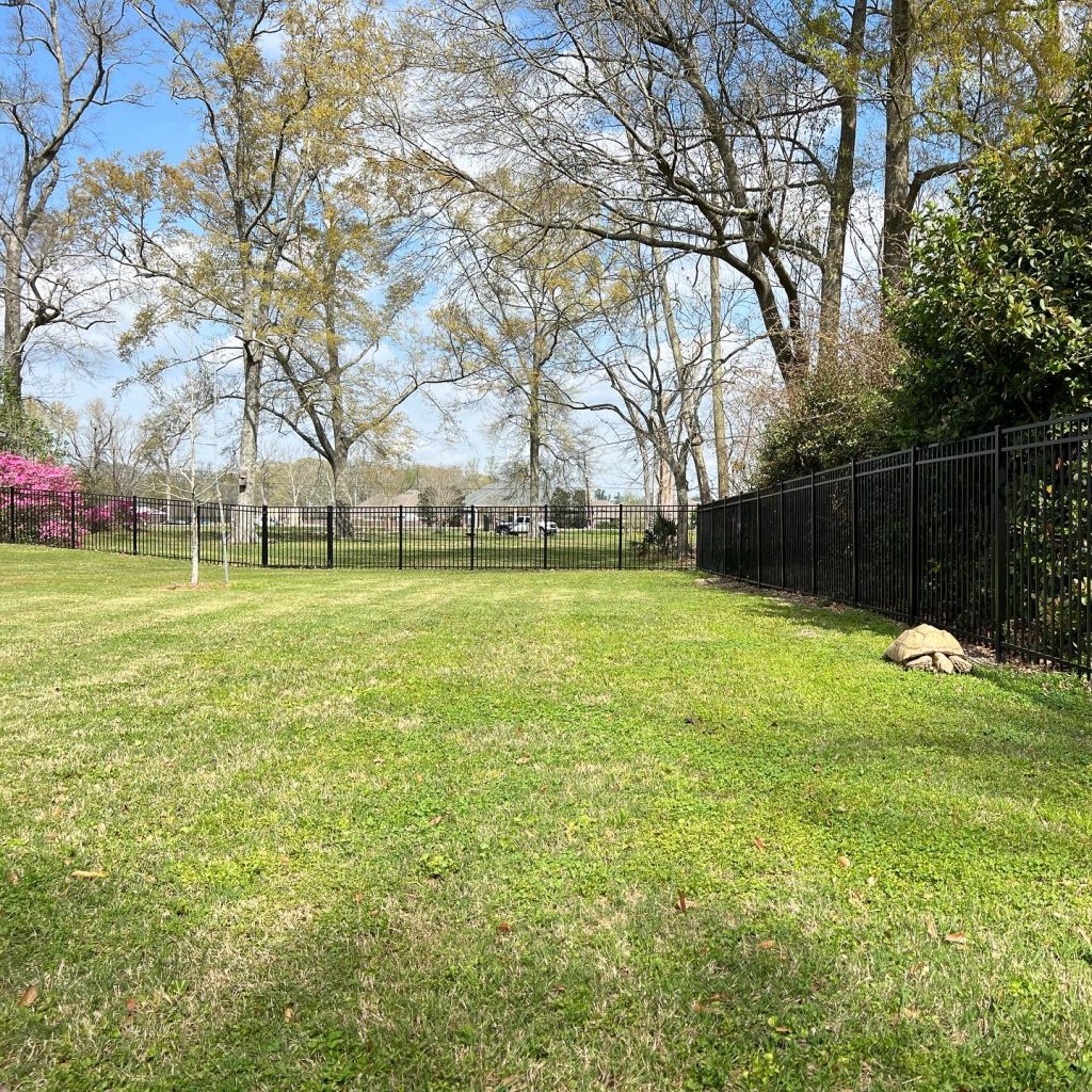 Metal Fence