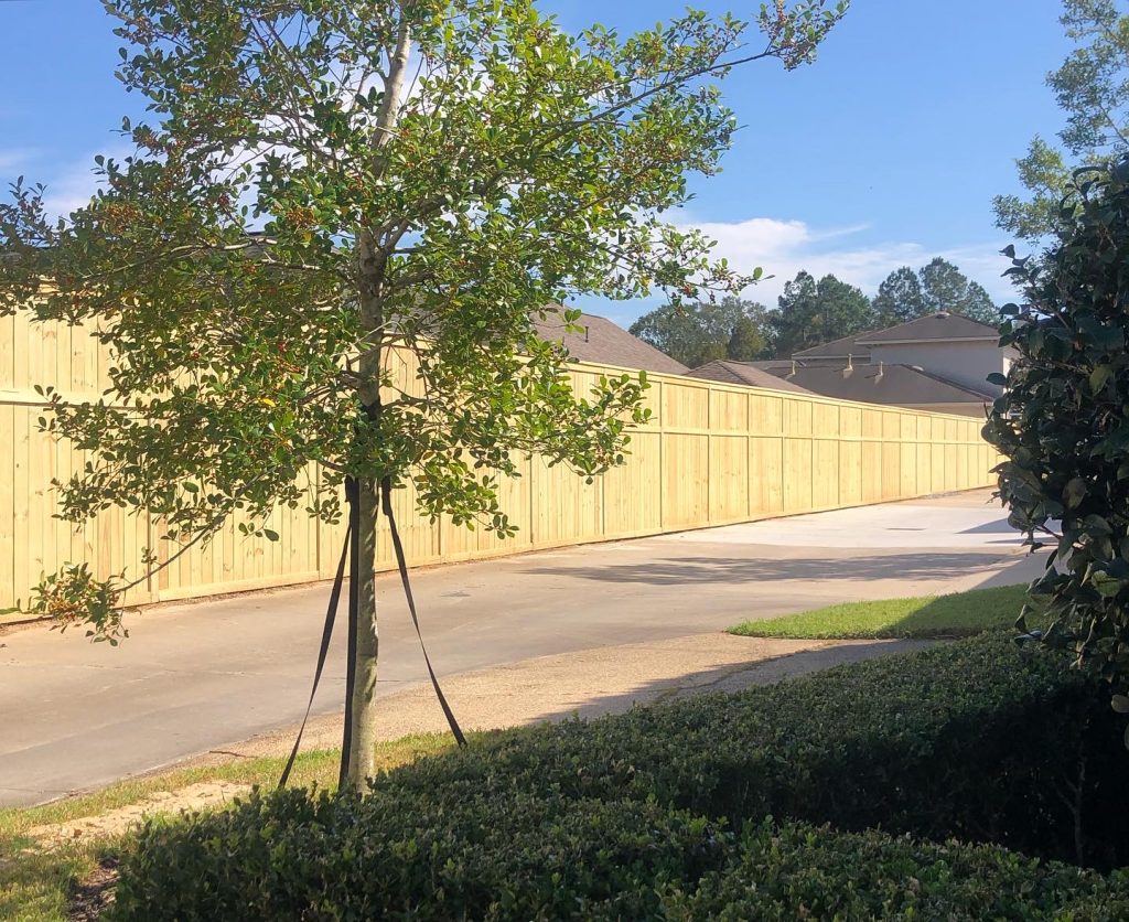 Wood Fence